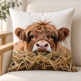 Hay Calf
