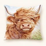 Highland Cow Portrait
