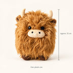 Shaggy Highland cow plush size guide showing an approximate height of 22 cm. One plush in your chosen colour.