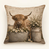 Highland Cow & Daisies