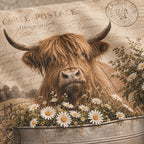 Close-up of the Highland cow and daisies print on the vintage cream polyester cushion cover.
